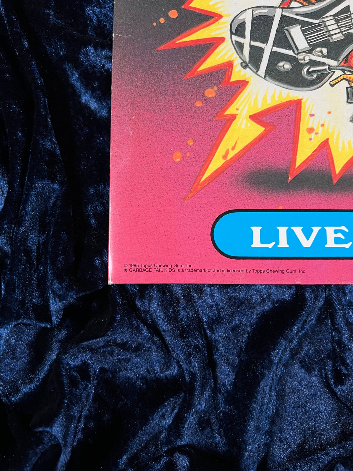 Vintage Garbage Pail Kids Collector Album - 1985 Topps Live Mike and Stormy Heather