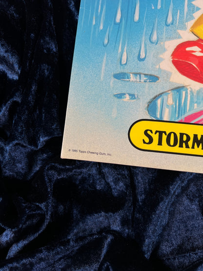 Vintage Garbage Pail Kids Collector Album - 1985 Topps Live Mike and Stormy Heather