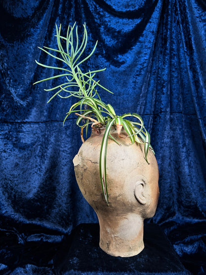 Vintage Stoneware Head Planter - Sculptural Human Face Ceramic Vase
