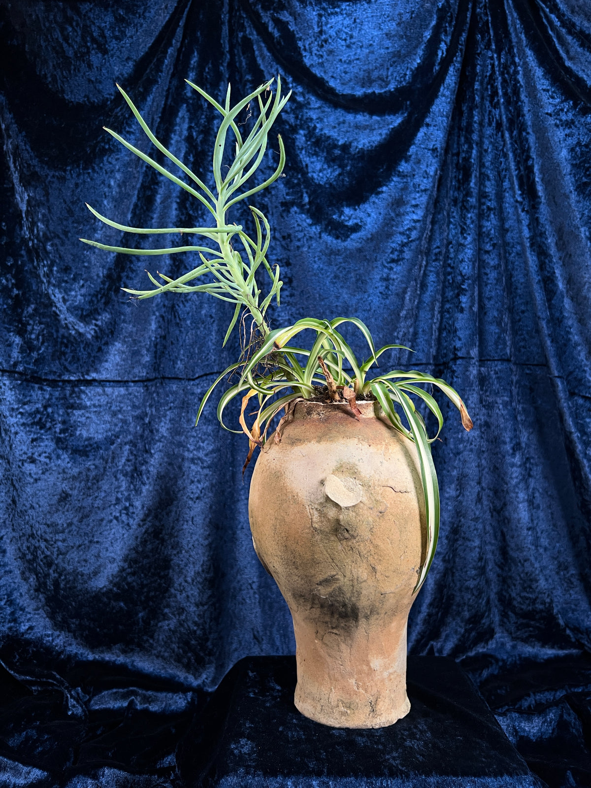Vintage Stoneware Head Planter - Sculptural Human Face Ceramic Vase
