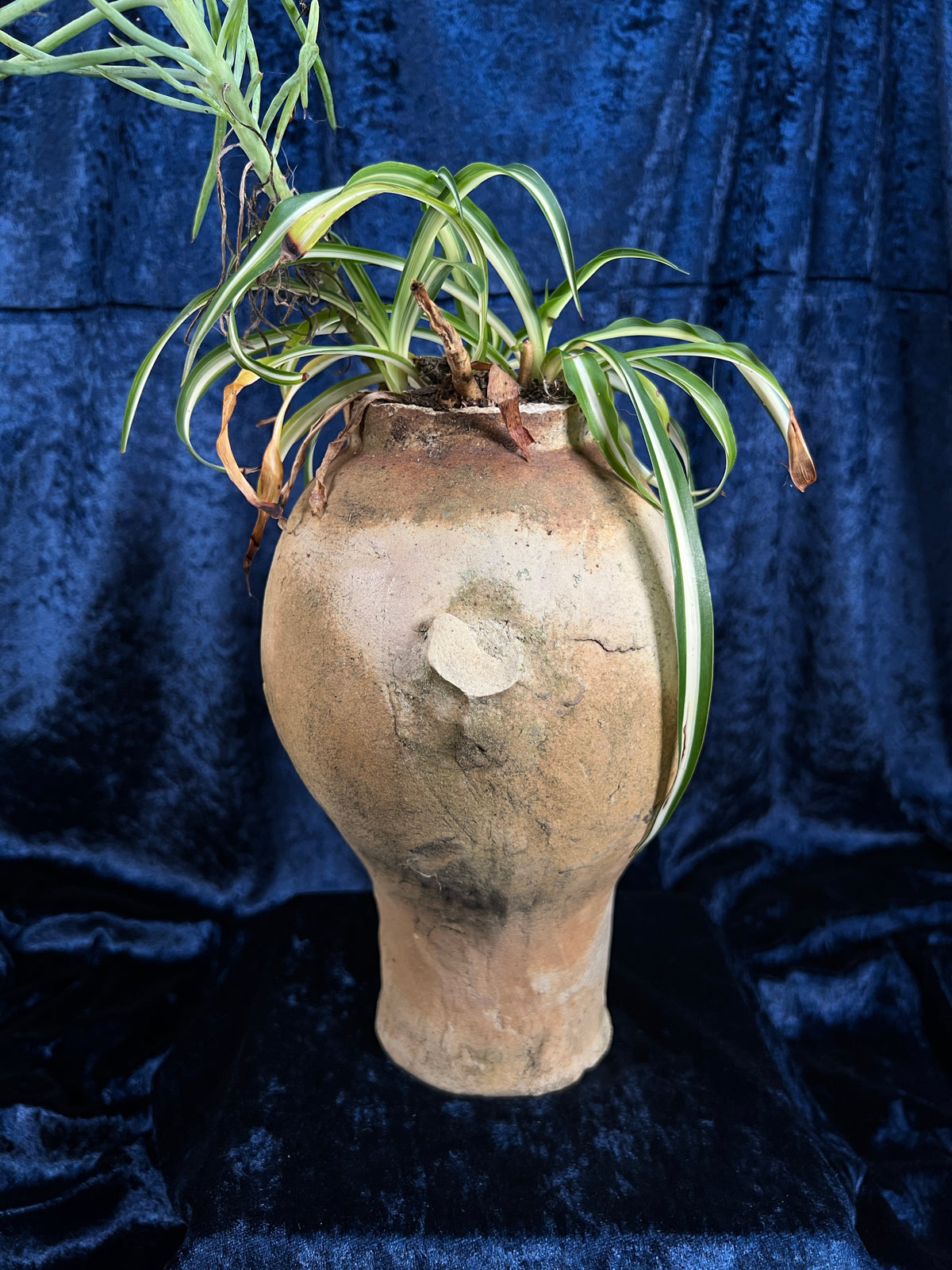 Vintage Stoneware Head Planter - Sculptural Human Face Ceramic Vase