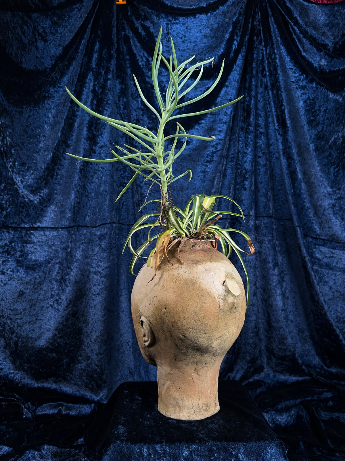 Vintage Stoneware Head Planter - Sculptural Human Face Ceramic Vase