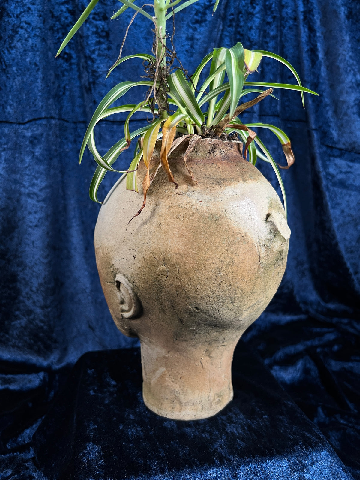 Vintage Stoneware Head Planter - Sculptural Human Face Ceramic Vase