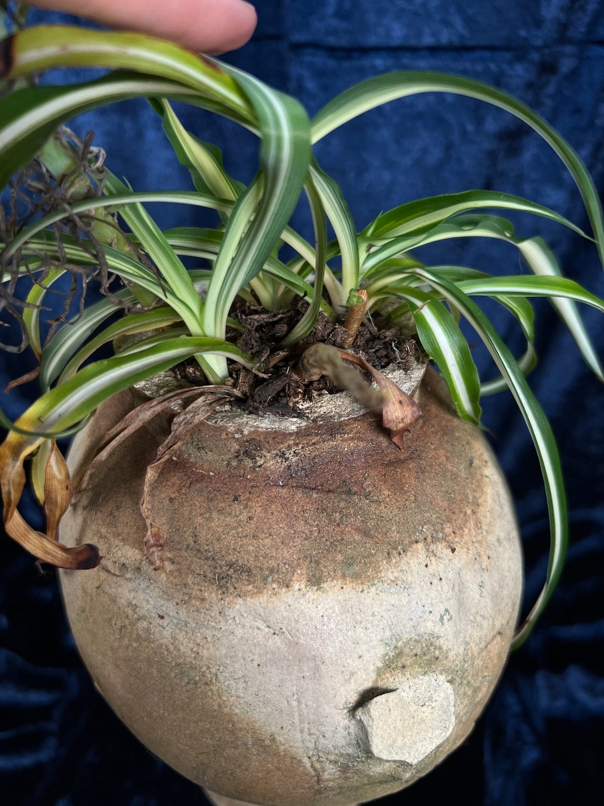Vintage Stoneware Head Planter - Sculptural Human Face Ceramic Vase