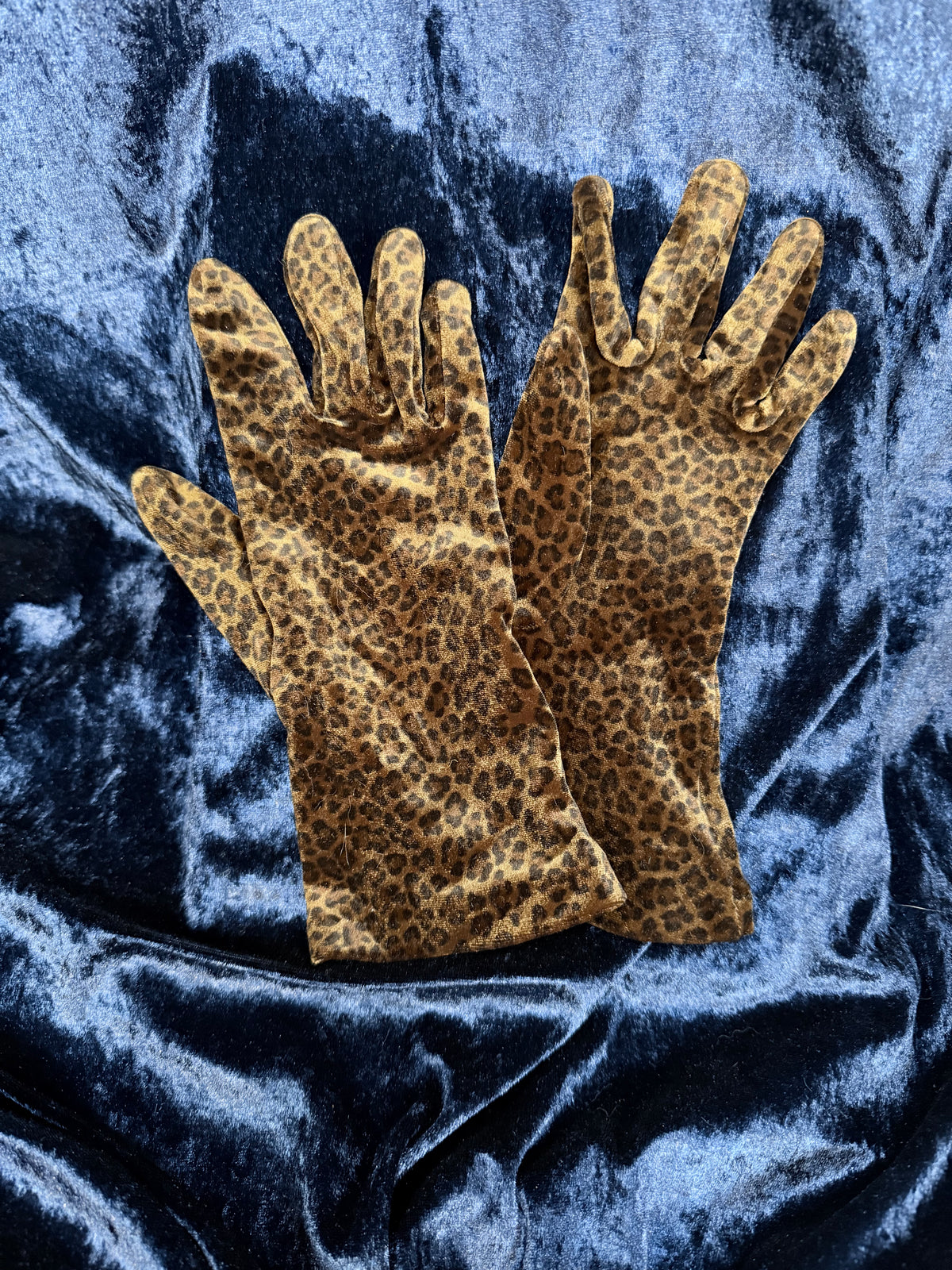 Vintage Leopard Print Velvet Gloves - Stretch-to-Fit Pair by Shaneen Huxham