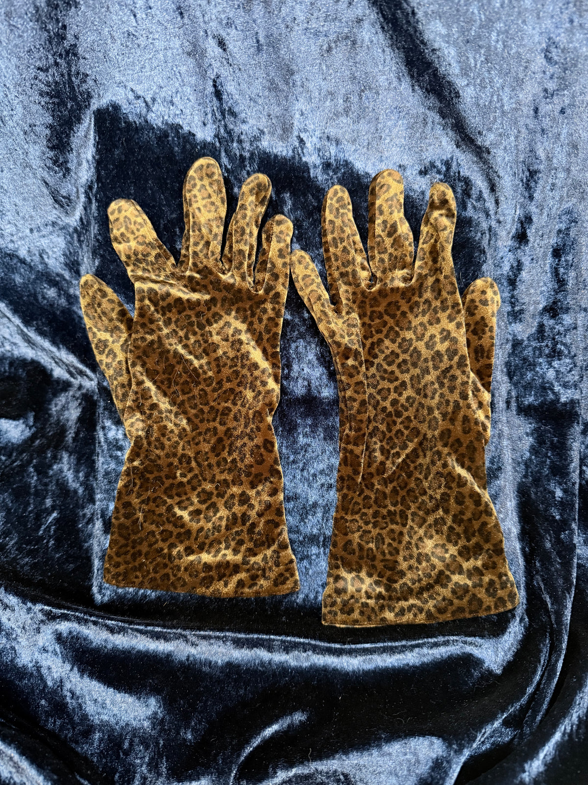 Vintage Leopard Print Velvet Gloves - Stretch-to-Fit Pair by Shaneen Huxham