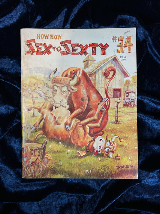 Vintage Sex To Sexty Magazine - How Now Issue #34 - Pierre Davis