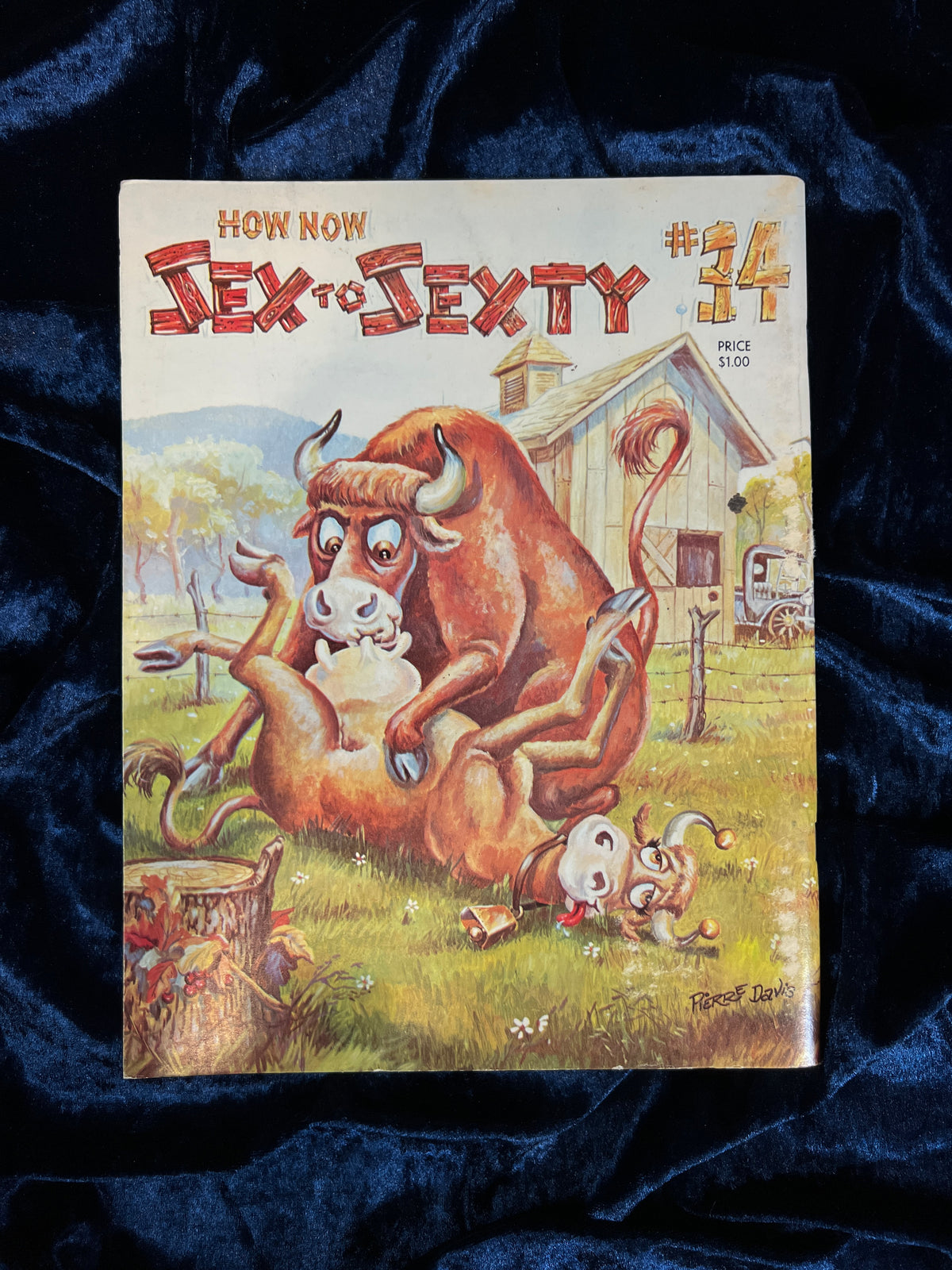 Vintage Sex To Sexty Magazine - How Now Issue #34 - Pierre Davis