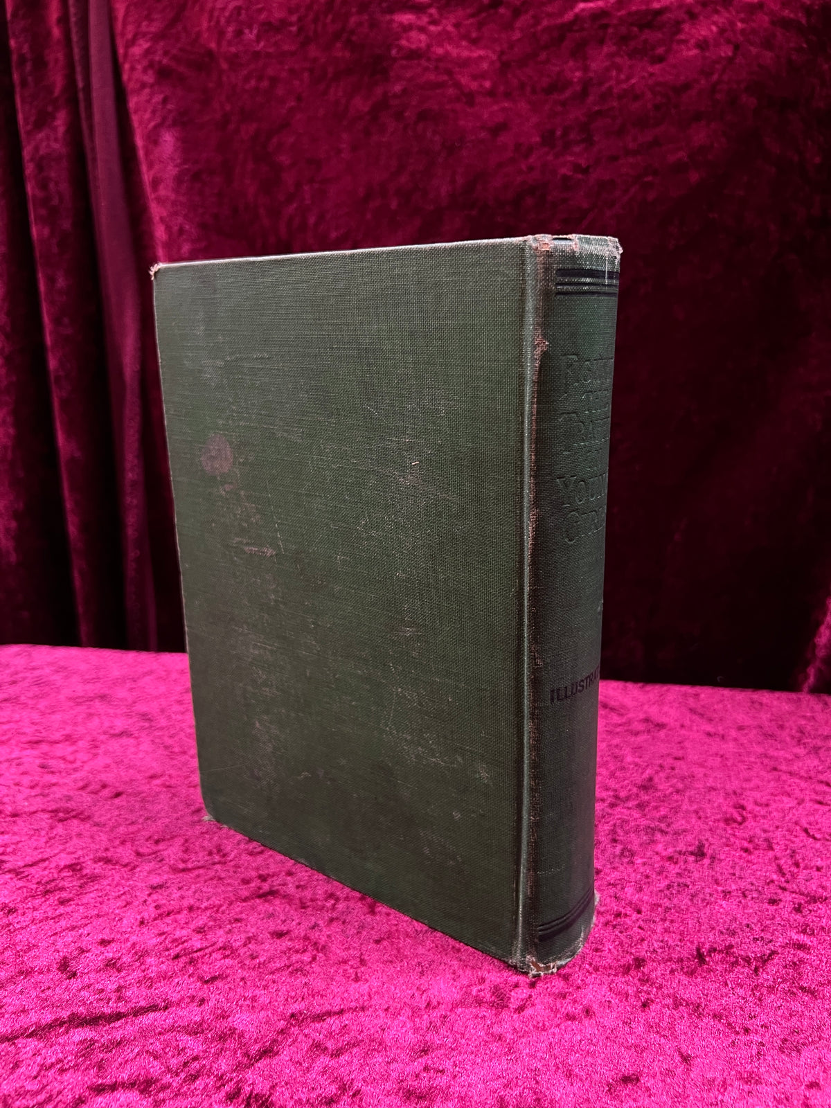 Antique Fighting the Traffic in Young Girls - Ernest A. Bell - 1910 Illustrated Hardcover