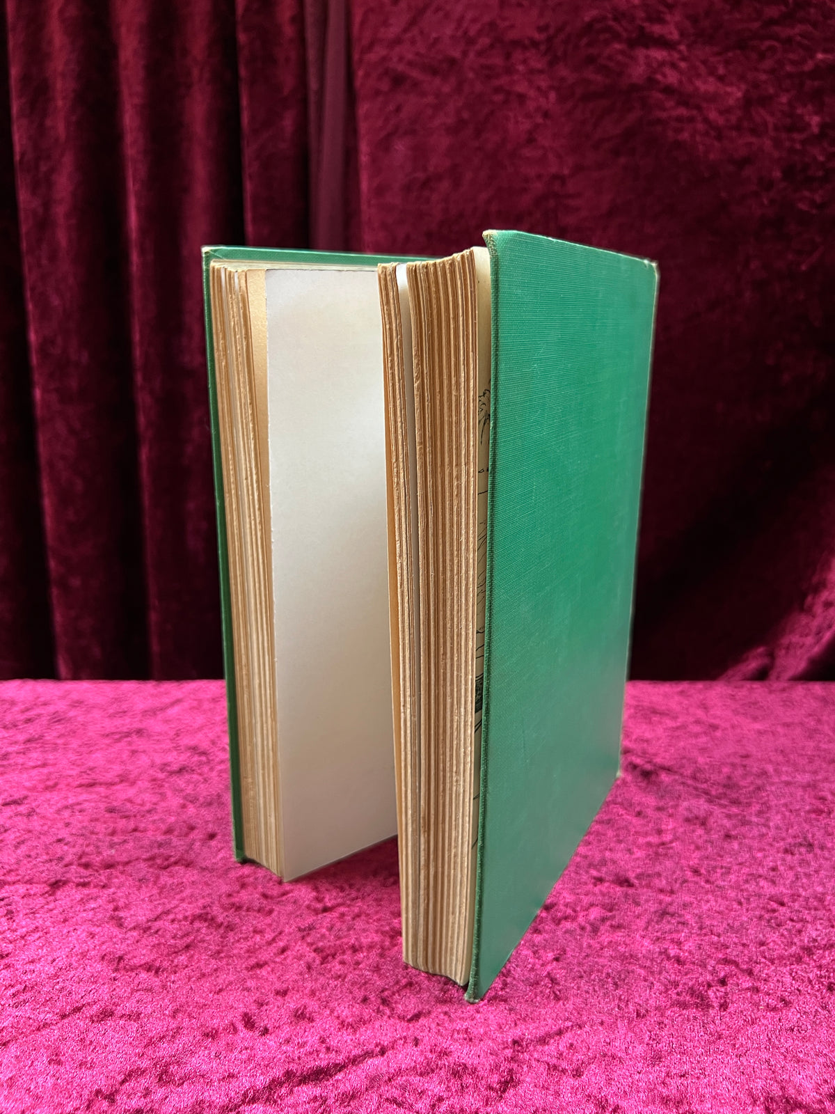 Vintage Myths Every Child Should Know Book - Illustrated Hardcover - Hamilton Wright Mabie