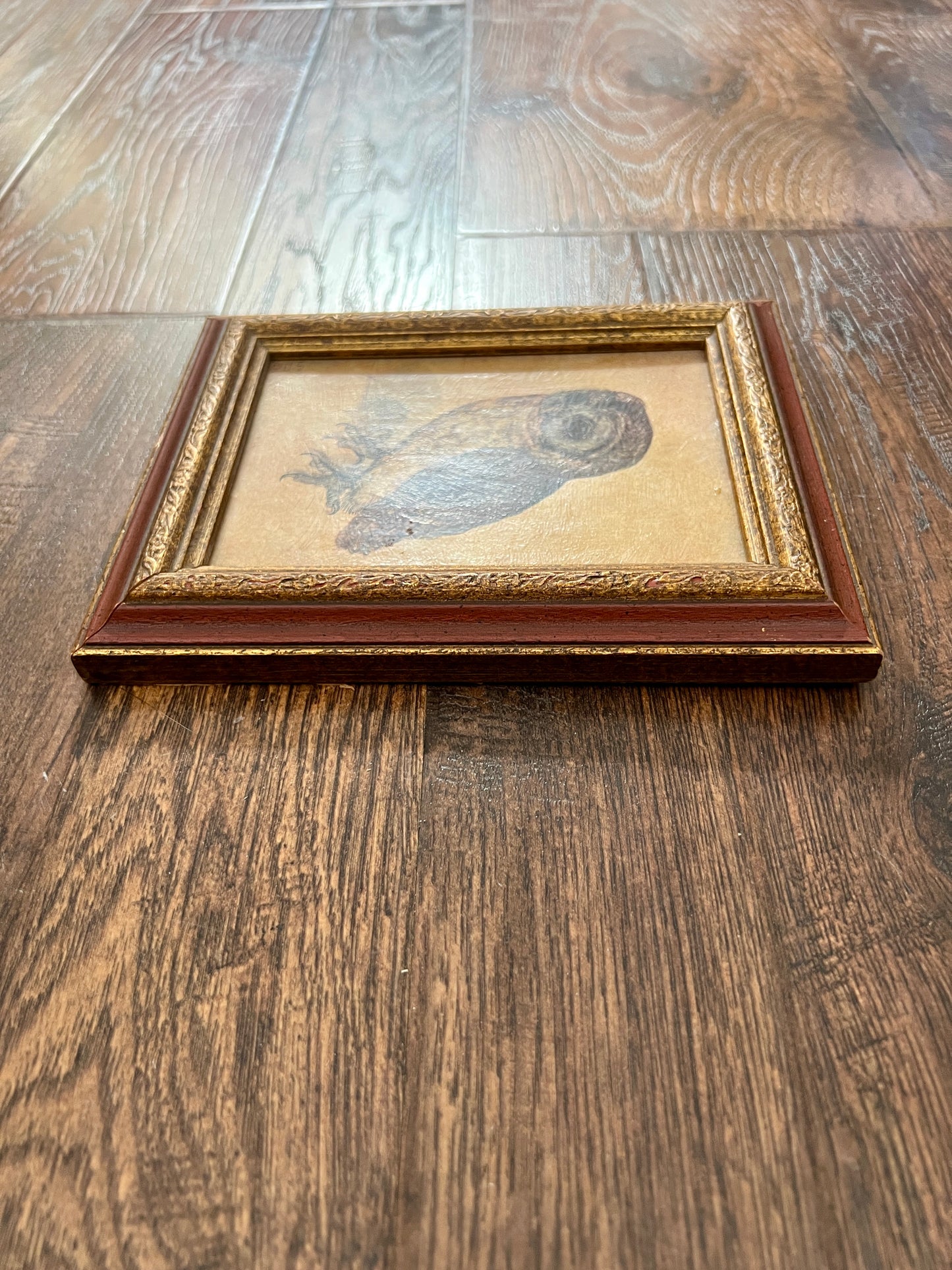 Vintage Framed Albrecht Dürer Owl Print - Ornate Red and Gold Wood Frame