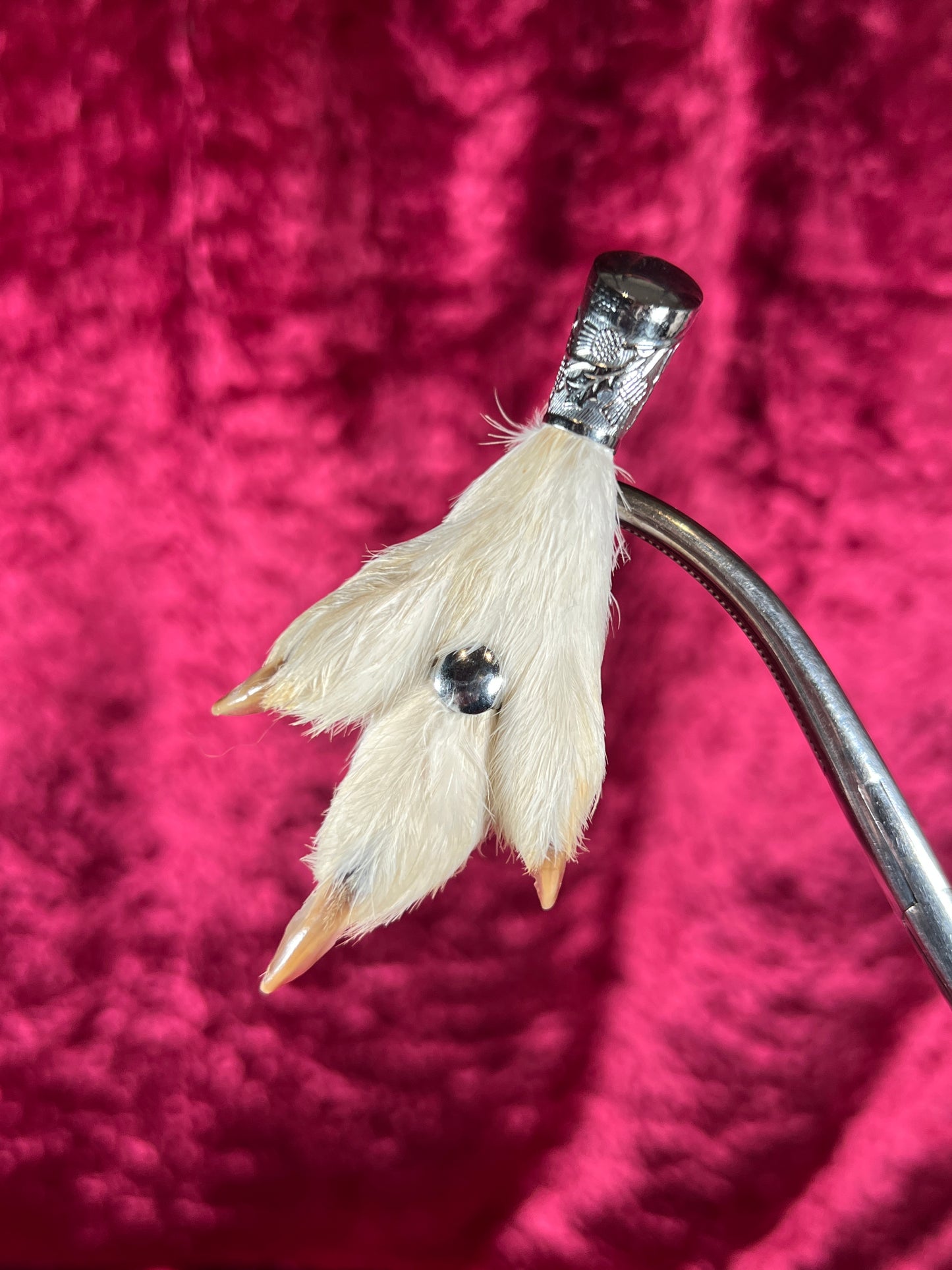 Vintage Jewelry - Taxidermy Brooch - Sterling Silver - Lucky Grouse Foot