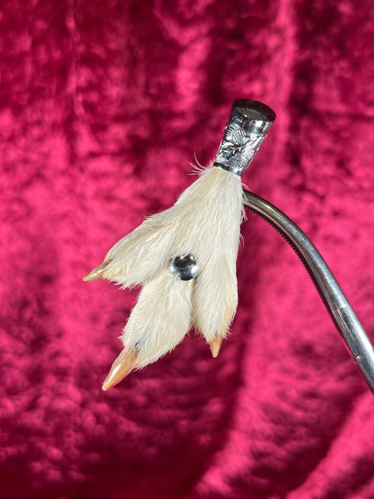 Vintage Jewelry - Taxidermy Brooch - Sterling Silver - Lucky Grouse Foot