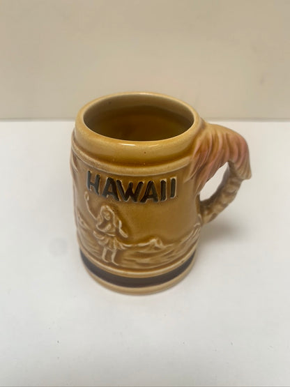 RB Japan Hawaiian Souvenir Shot Glass