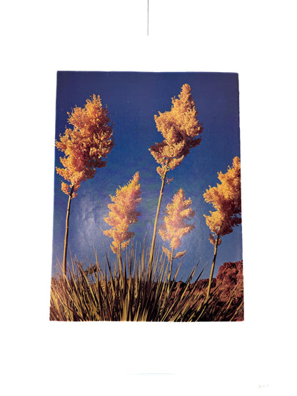 Vintage Ephemera - Arizona Highways Magazine - March 1973