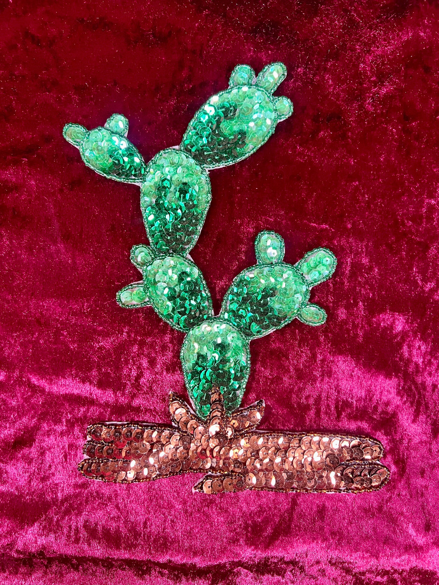 Vintage Sewing Notions - Sequin Appliqué - Big Paddle Cactus