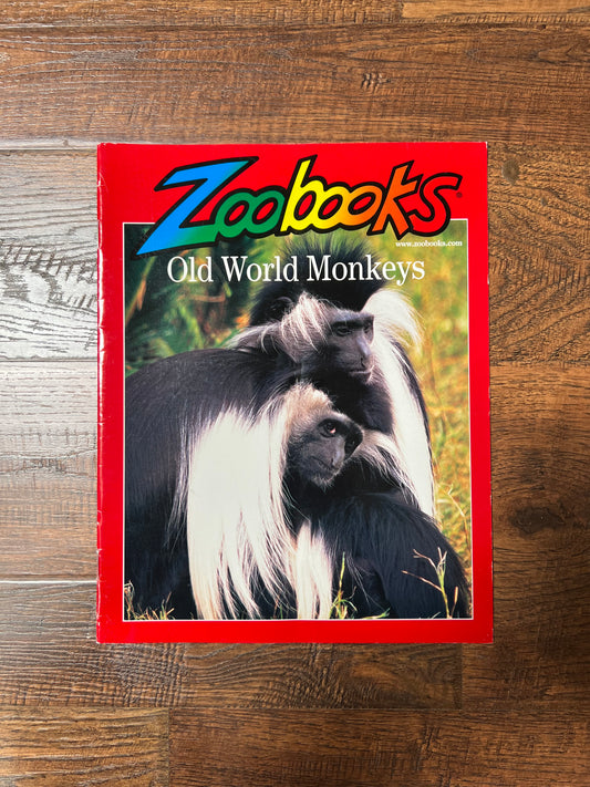 Vintage Ephemera - Magazine - Zoobooks - Old World Monkeys - May 2000