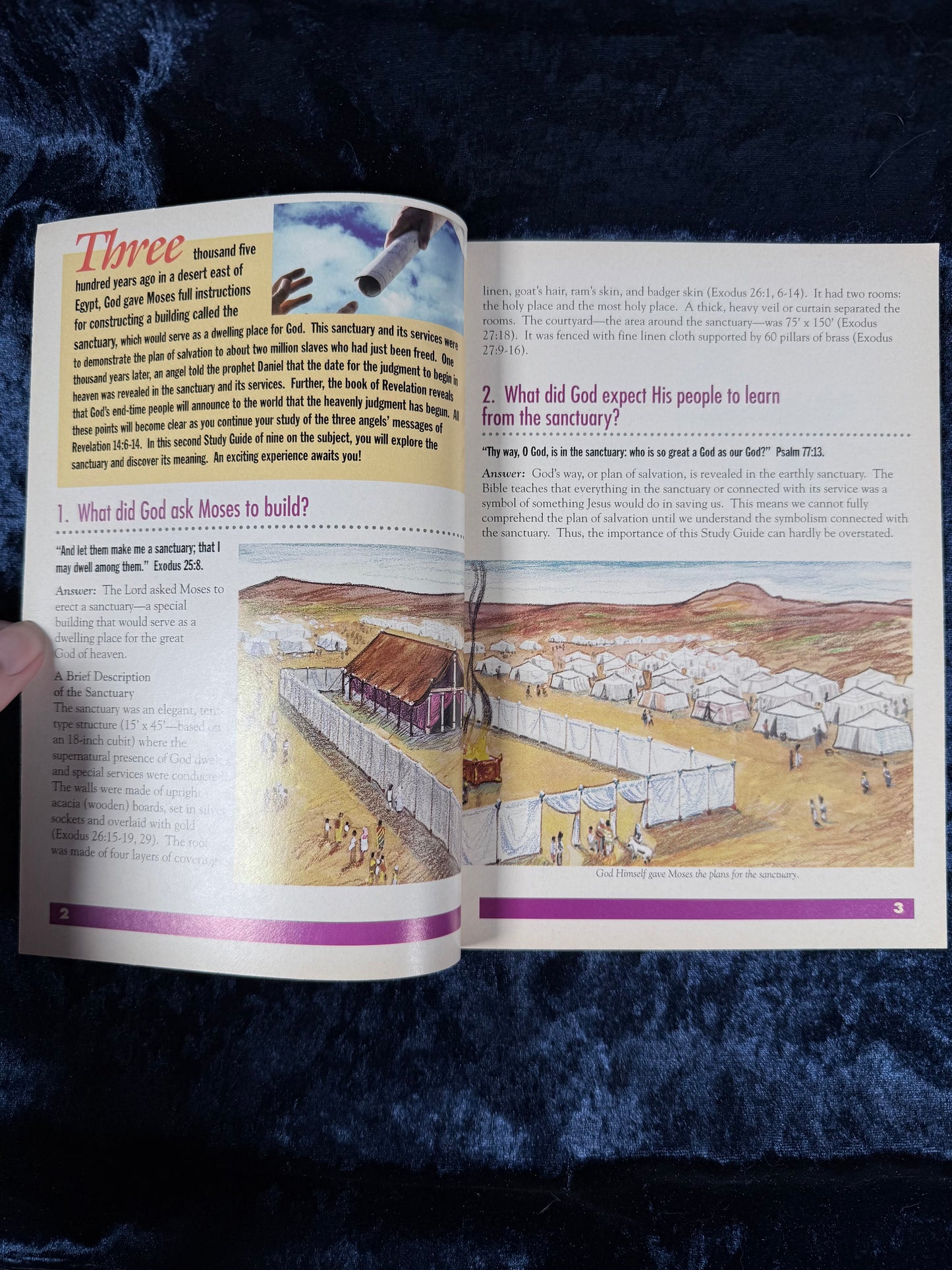Vintage Amazing Facts Study Guide Booklet - God Drew the Plans - Early Edition