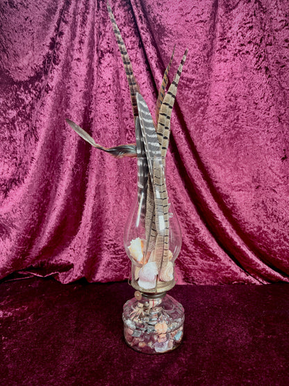 Vintage Glass Oil Lamp – Natural Feather and Shell Curio Display