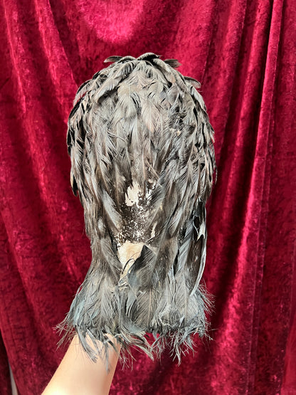 Vintage Repro Realistic Vulture Bird Prop