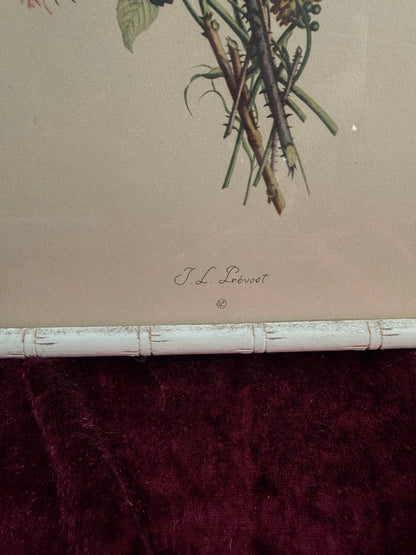 Vintage Framed Botanical Print – Floral Bouquet Bamboo Style Frame