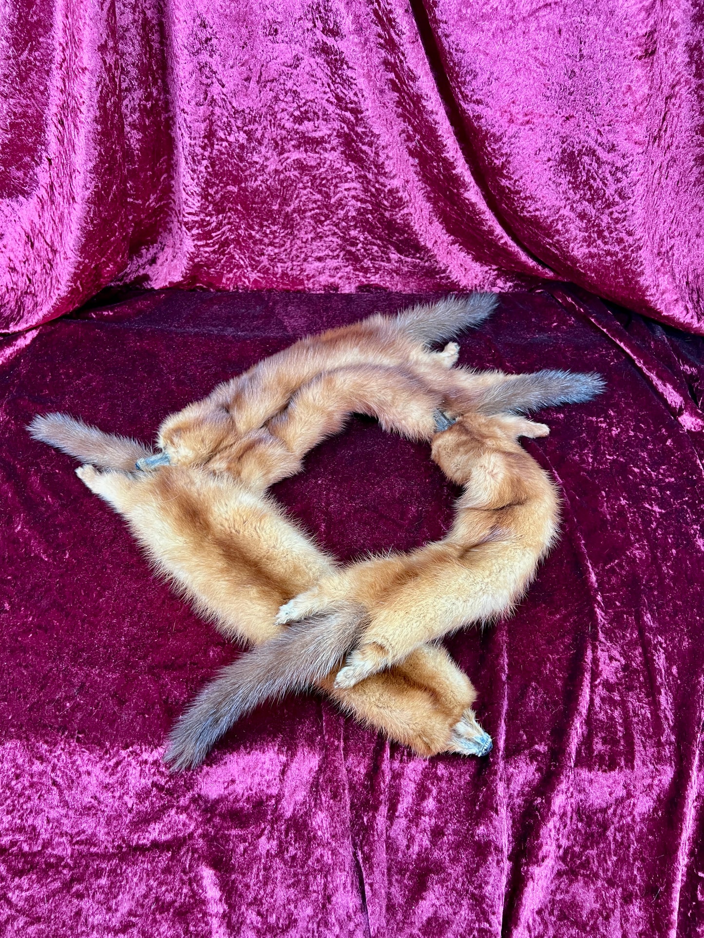 Vintage Fur Shoulder Wrap Stole – Four Red Foxes - 51"