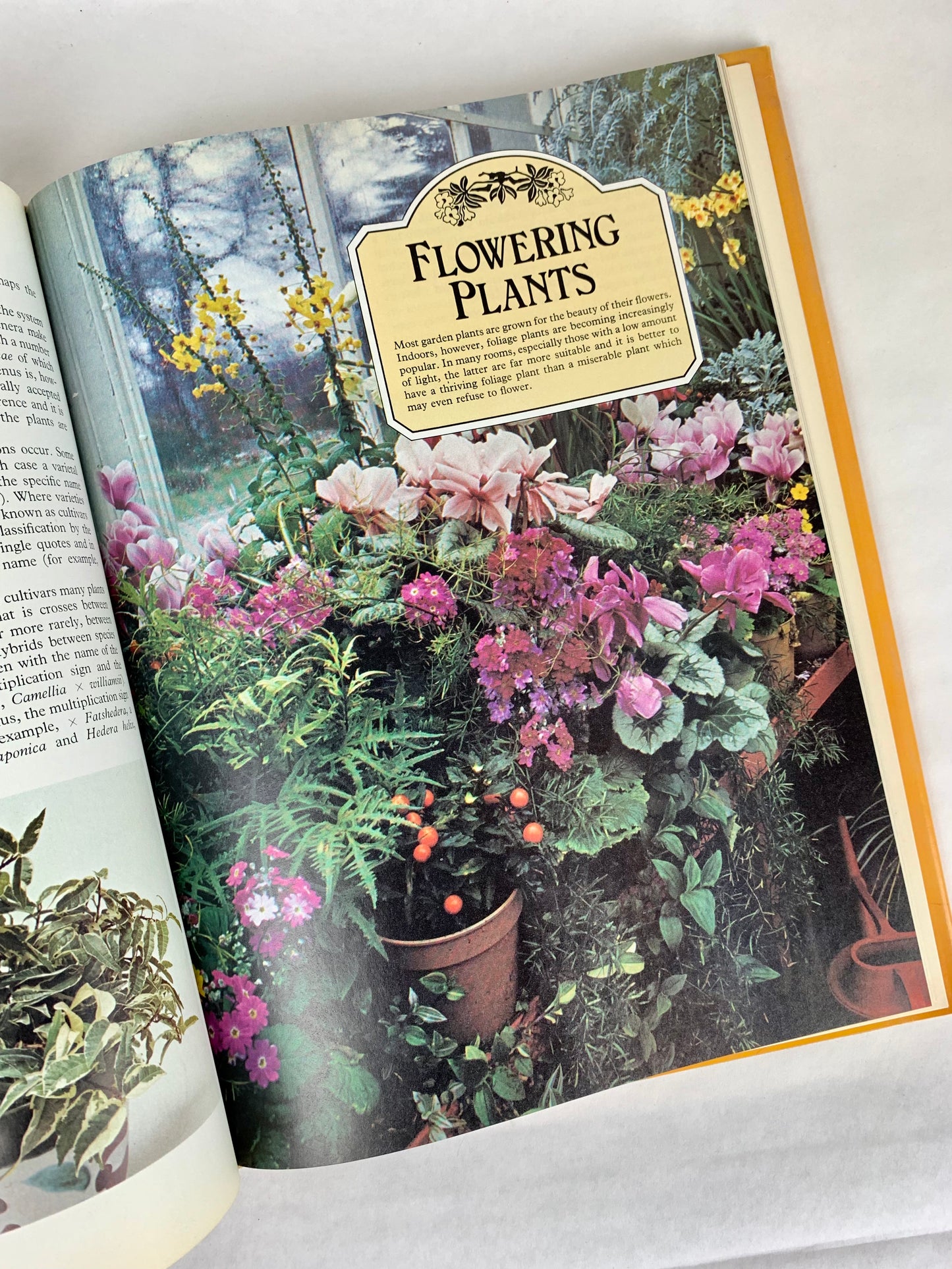 1979 Growing Indoors: A Guide To Flowering and Foliage Plants Hardcover