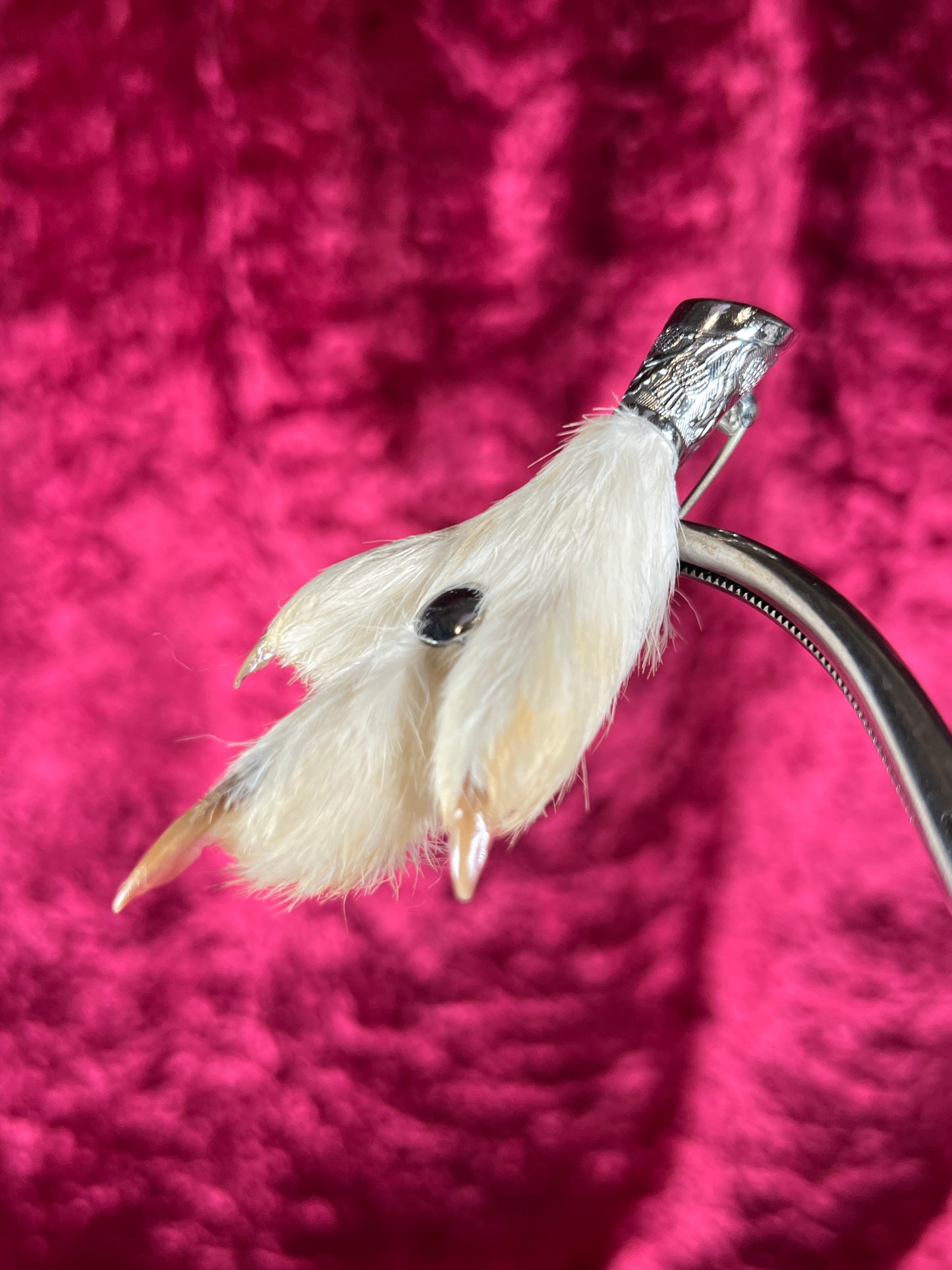 Vintage Jewelry - Taxidermy Brooch - Sterling Silver - Lucky Grouse Foot