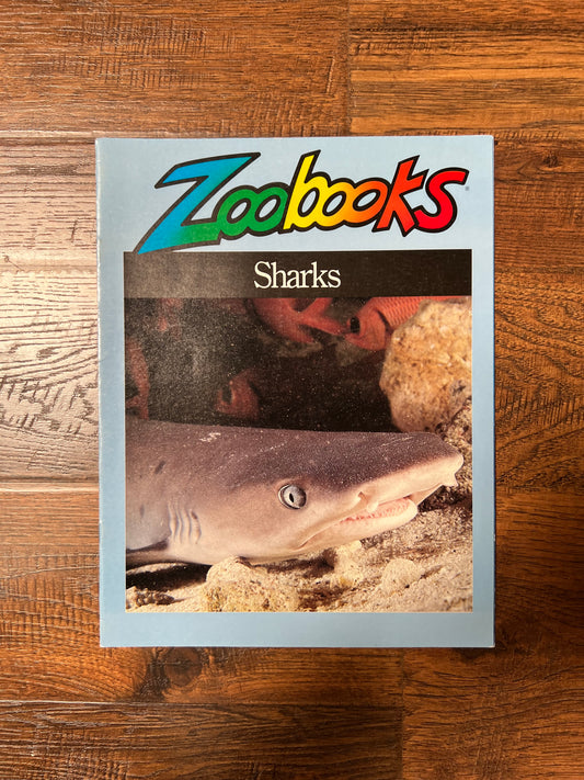 Vintage Ephemera - Magazine - Zoobooks - Sharks - 1993