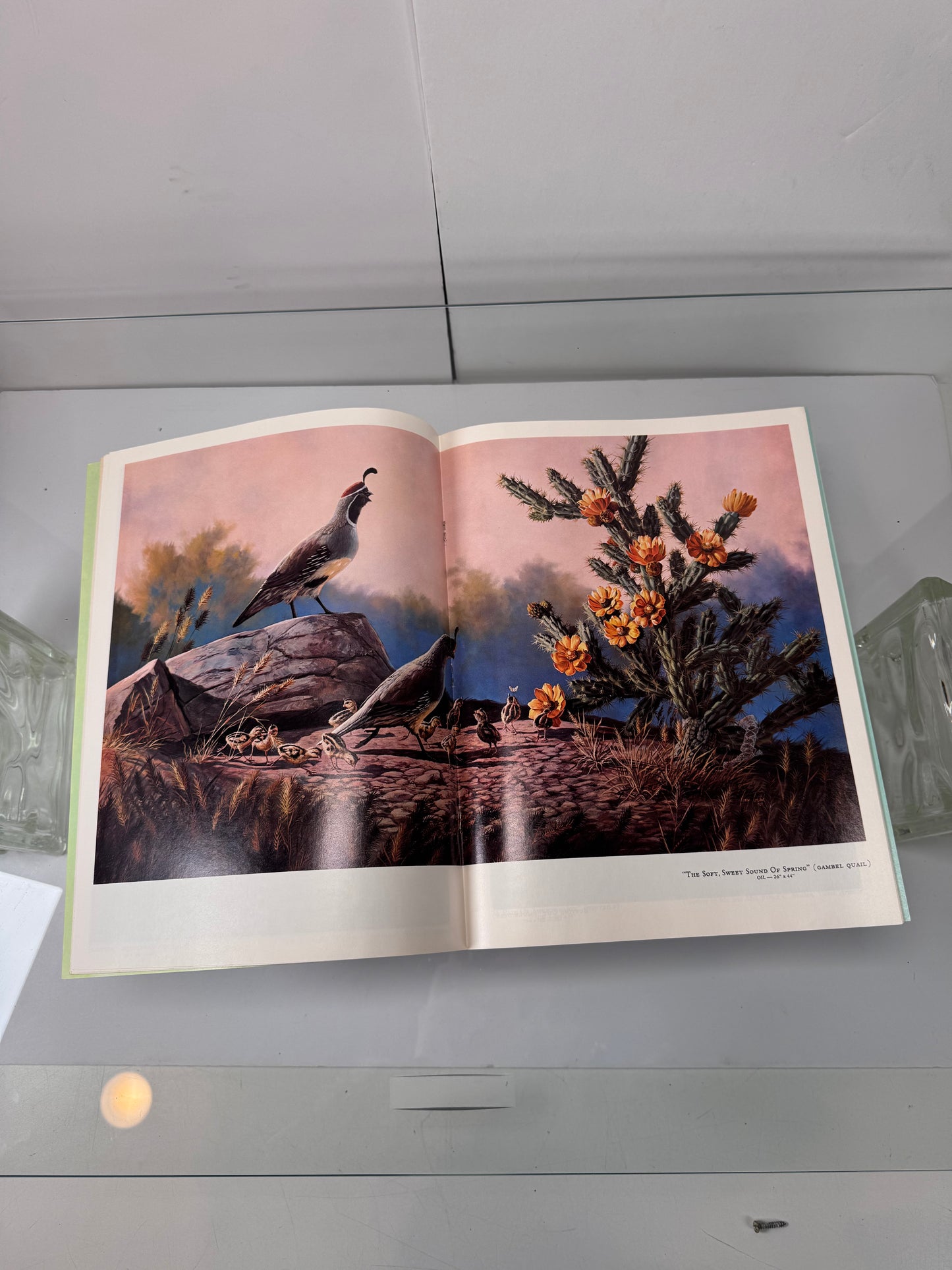 Vintage Ephemera - Arizona Highways Magazine - May 1970