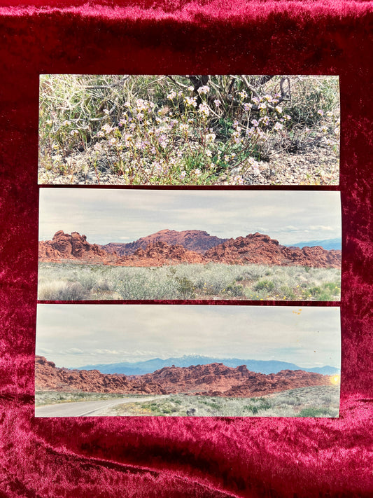 Vintage Ephemera - Set of Landscape Photos - Somewhere In The Desert - April 1998