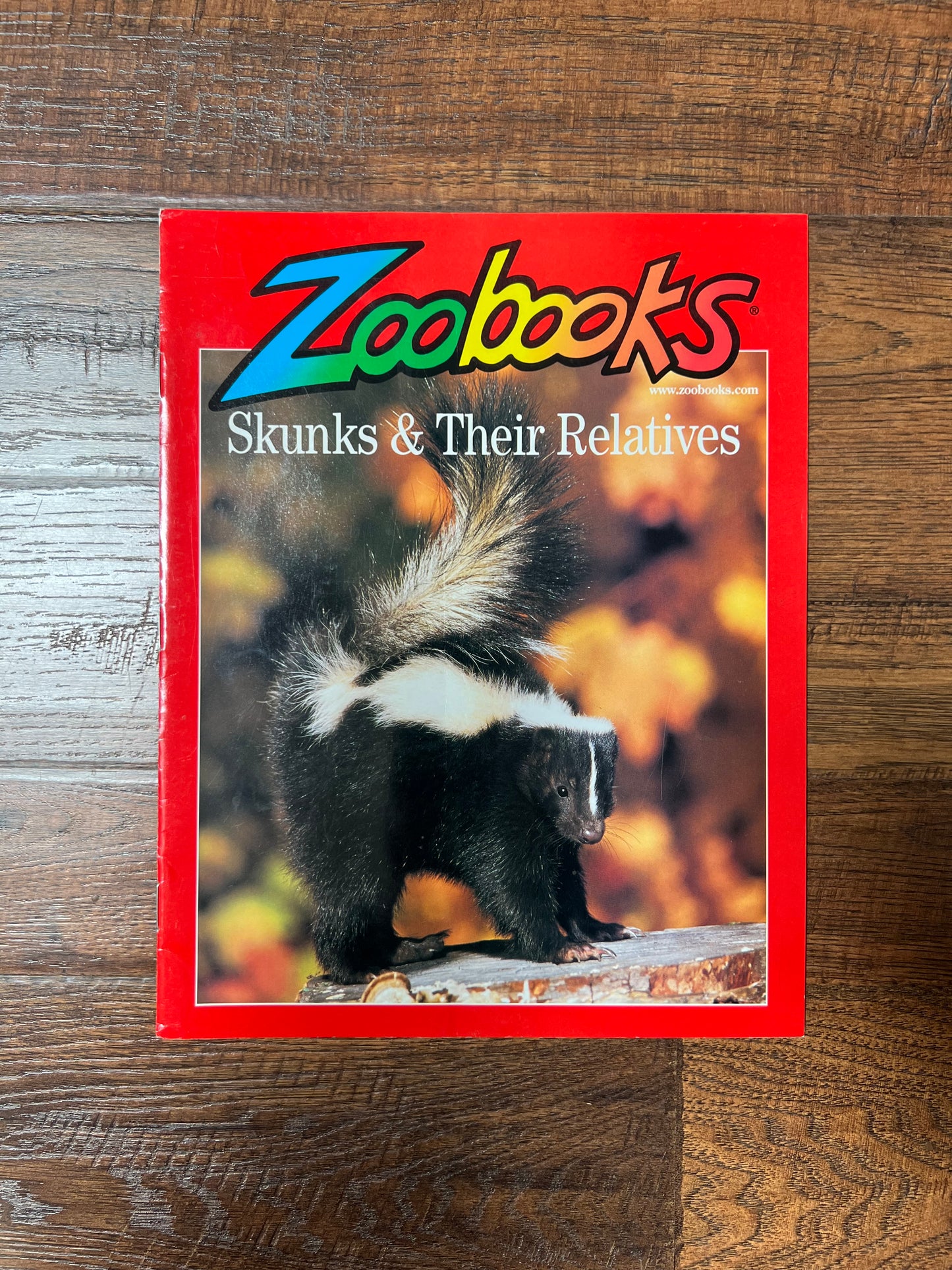 Vintage Ephemera - Magazine - Zoobooks - Skunks and Their Relatives - May 2002
