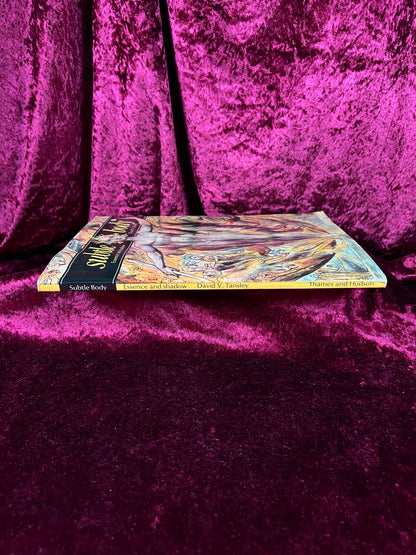 Vintage Paperback Book – The Subtle Body Essence and Shadow David V. Tansley 1977