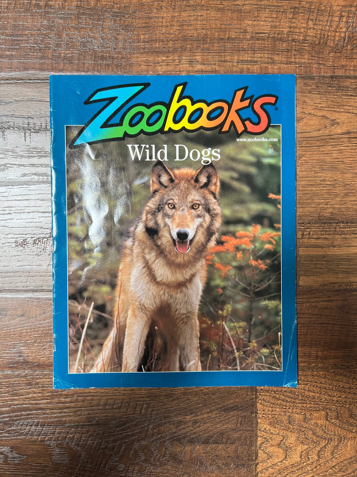 Vintage Ephemera - Magazine - Zoobooks - Wild Dogs - July 2002