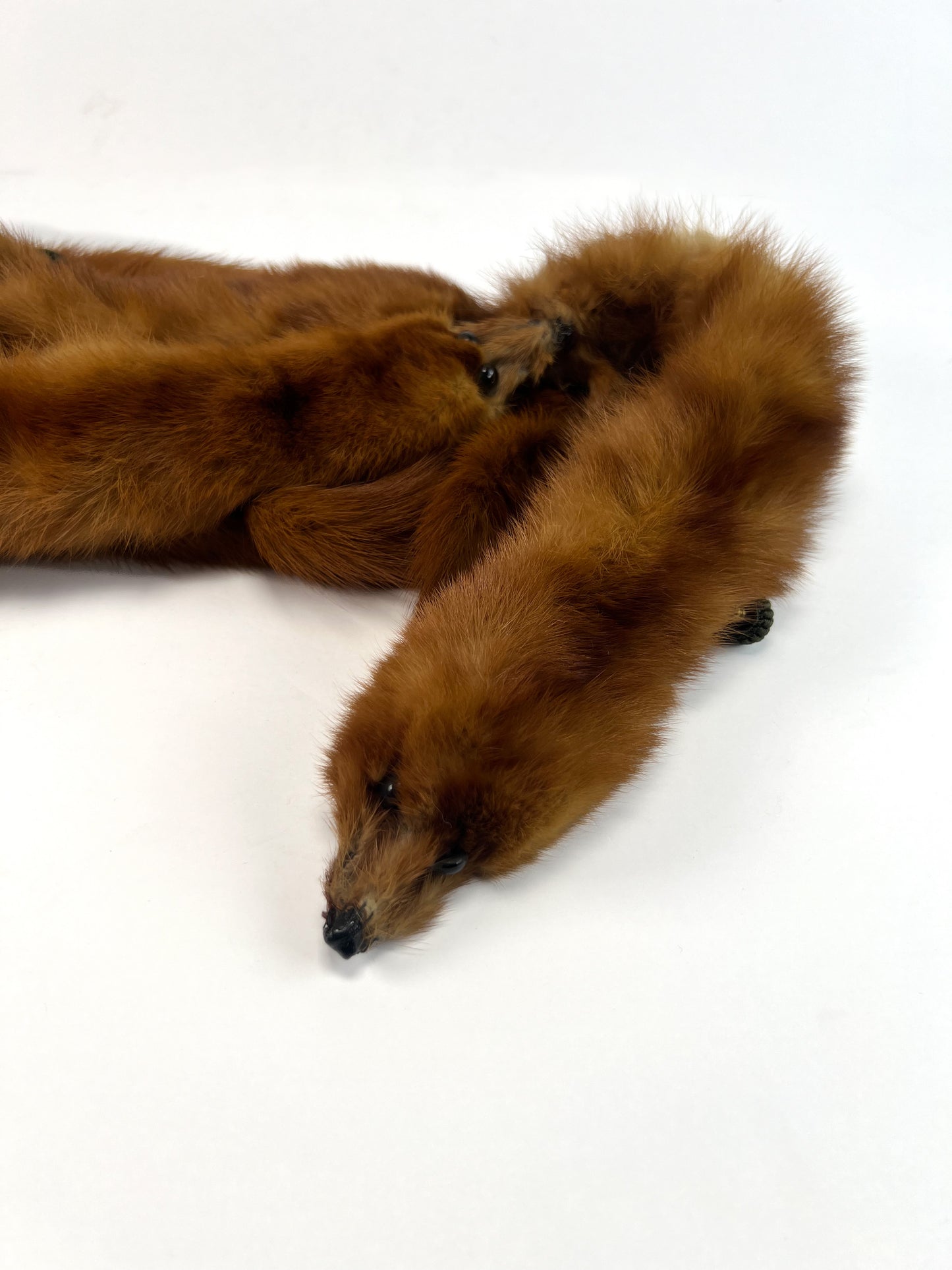 Vintage Accessories - Fur Shoulder Stole - 5 Red Foxes