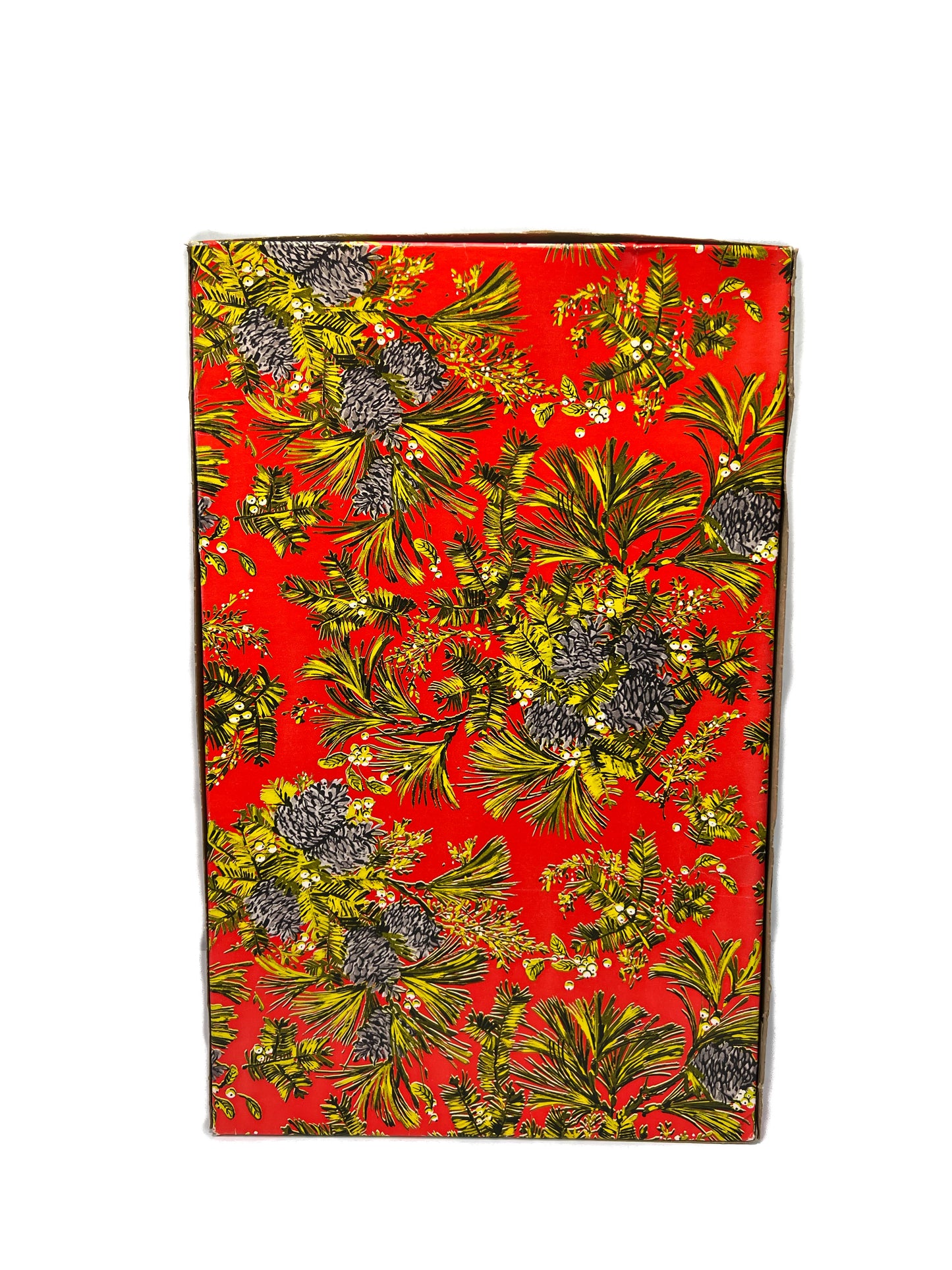 Vintage Shirt Box - Pine Cone Clusters on Persimmon