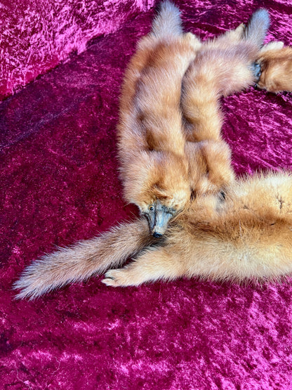 Vintage Fur Shoulder Wrap Stole – Four Red Foxes - 51"