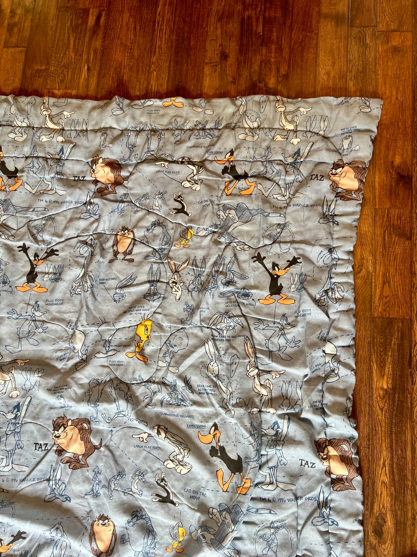 Vintage Linens - Twin Size Comforter - Warner Bros Looney Tunes Characters - 1996 - 82" X 68"