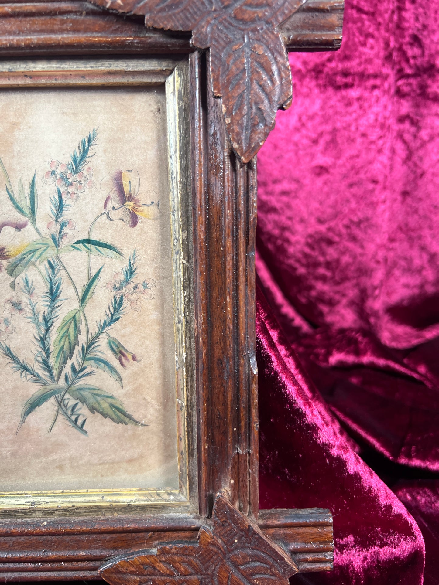 Vintage Wall Art - Antique Black Forest Style Frame - Spring Florals Illustration