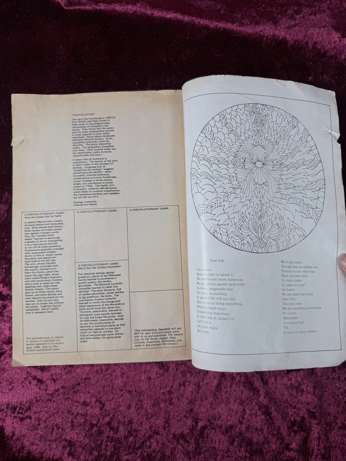 Vintage CoEvolution Quarterly Magazine Summer 1974 Whole Earth Catalog Supplement