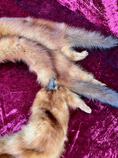 Vintage Fur Shoulder Wrap Stole – Four Red Foxes - 51"