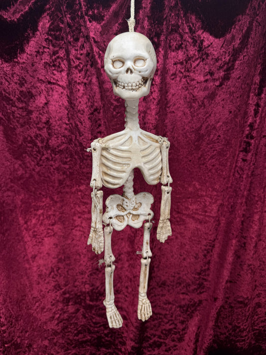 Vintage Halloween - Jointed Hanging Skeleton - Ceramic