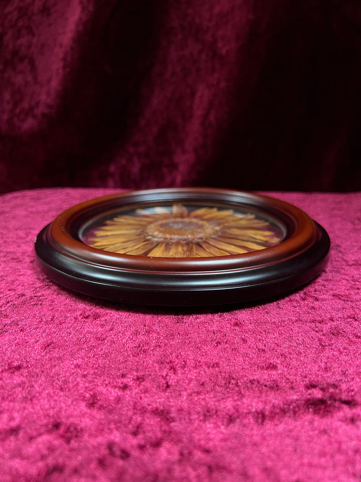 Vintage Pressed Sunflower Wall Art - Real Flower Round Wood Frame