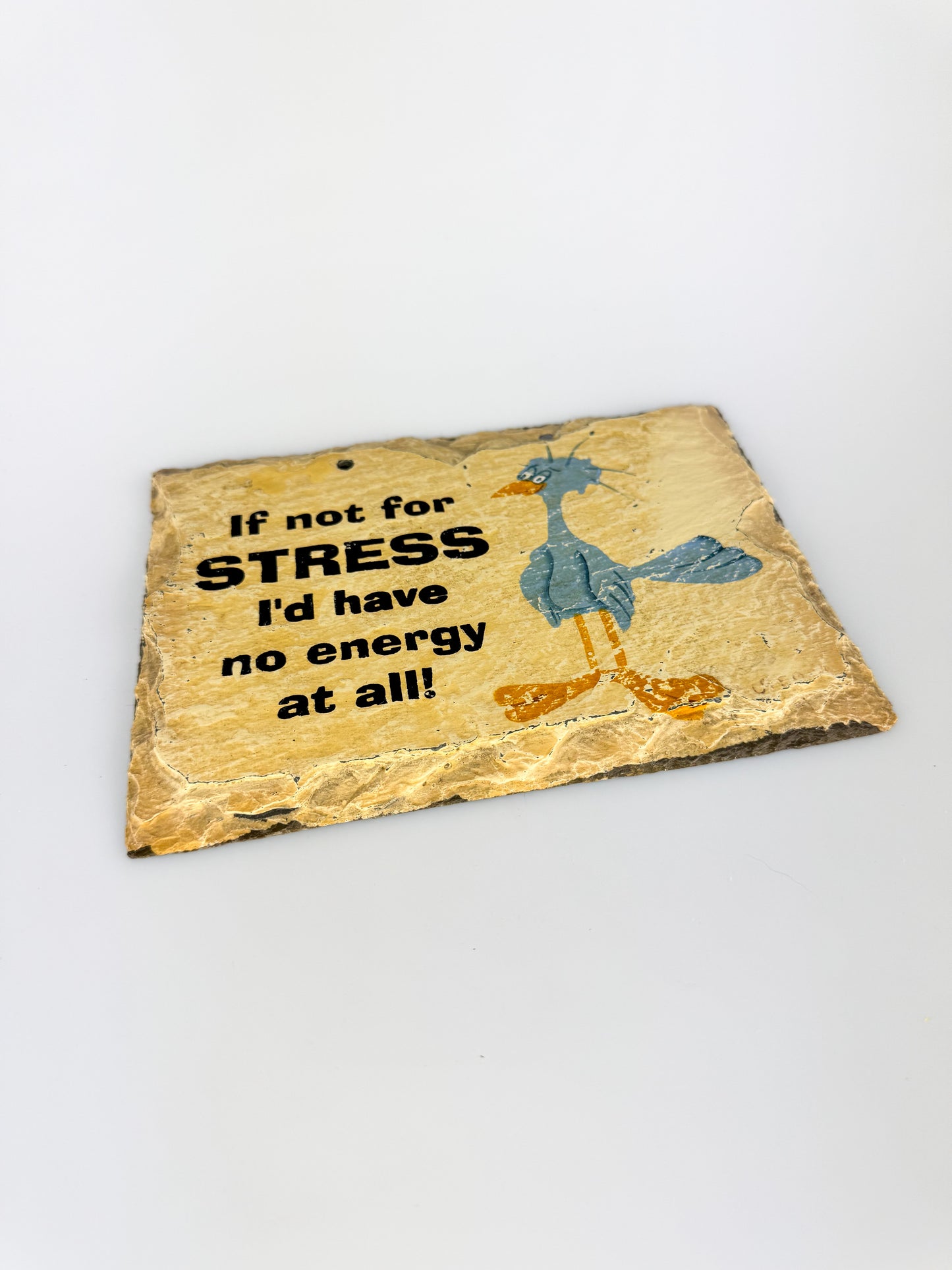 Plain Jane Funny Painted Roof Slate Novelty Sign - If Not For Stress