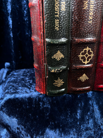 Vintage Faux Leather Book CD Storage Cabinet - Hidden Old Classics Library Blook Box