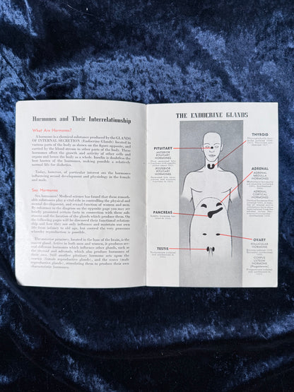 Vintage Paper Science Booklet – Sex Hormones 1939 Golden Gate Expo