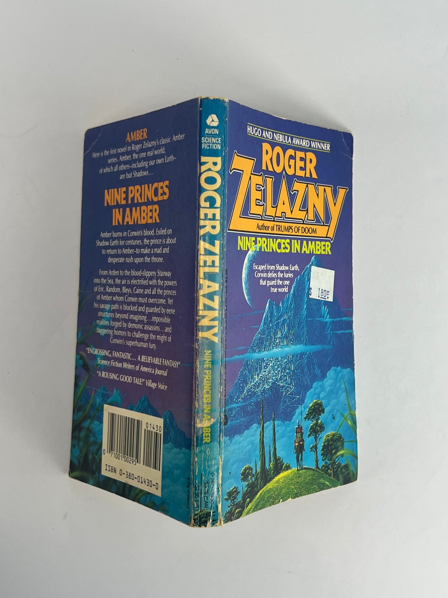 Vintage Paperback - Nine Princes in Amber - Roger Zelazny - 1970