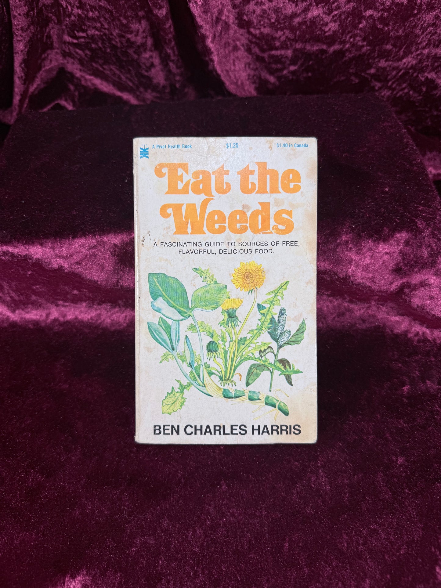Vintage Eat the Weeds by Ben Charles Harris 1973 Keats Publishing Paperback Foraging Guide