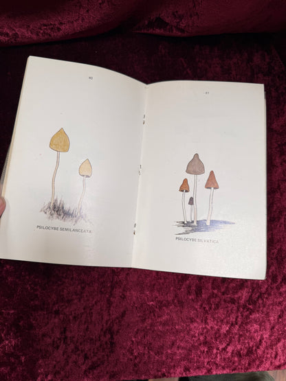 Vintage Paperback Book - A Key To The American Psilocybin Mushroom - Leonard Enos - 1970