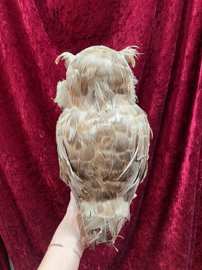 Vintage Repro Realistic Wise Owl Bird Prop